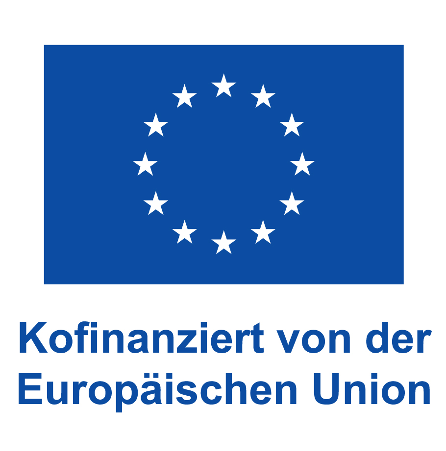 DE V Kofinanziert von der Europaeischen Union PANTONE